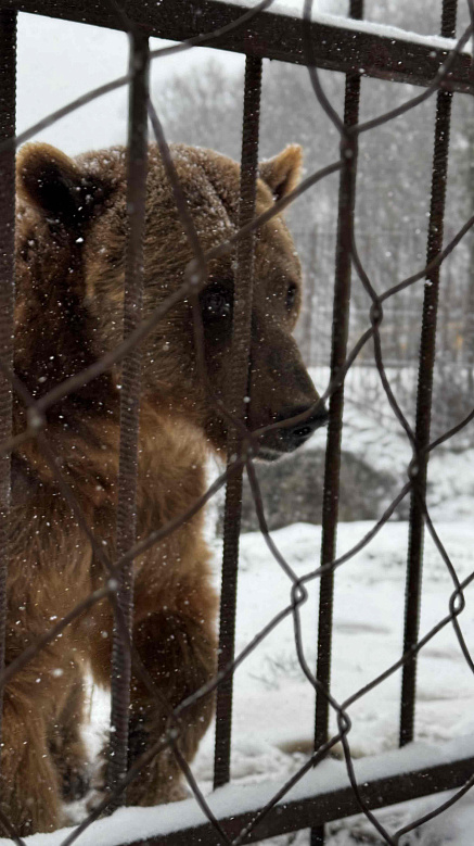 Хаджохская теснина