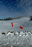 Лыжная база “АЛЬПИНА ПАРК”