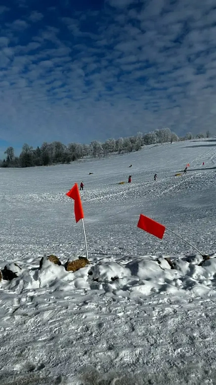 Лыжная база “АЛЬПИНА ПАРК”