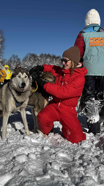 Катание на хаски