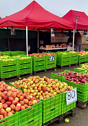 Яблоки у дороги