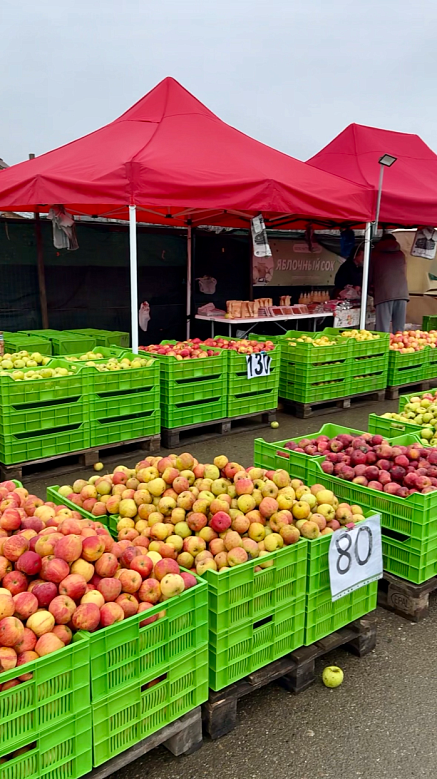 Яблоки у дороги